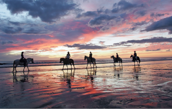 Horse Riding Adventure