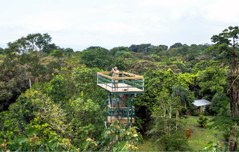 Canopy Observation Tower