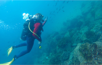 Scuba Taboga Island