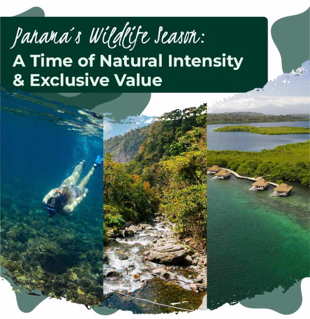 Panama's wildlife season