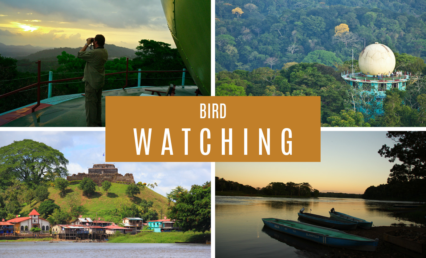 Bird Watching - Panama & Nicaragua