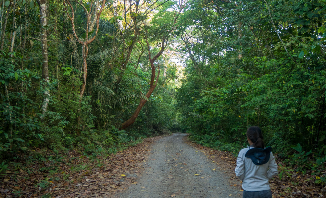 Soberania National Park