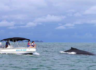 Golfo de Chiriqui 