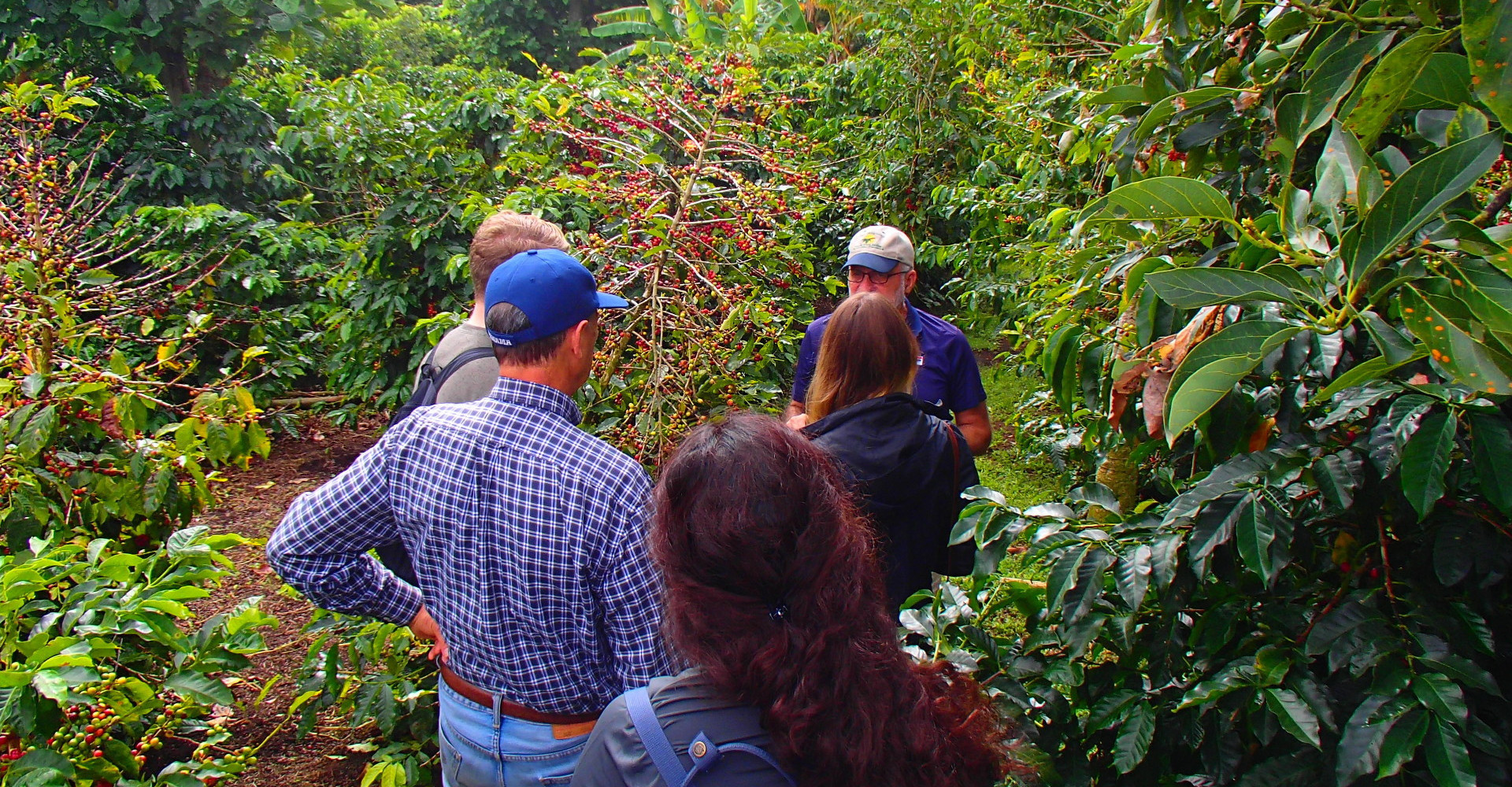 1-coffee-tour-boquete