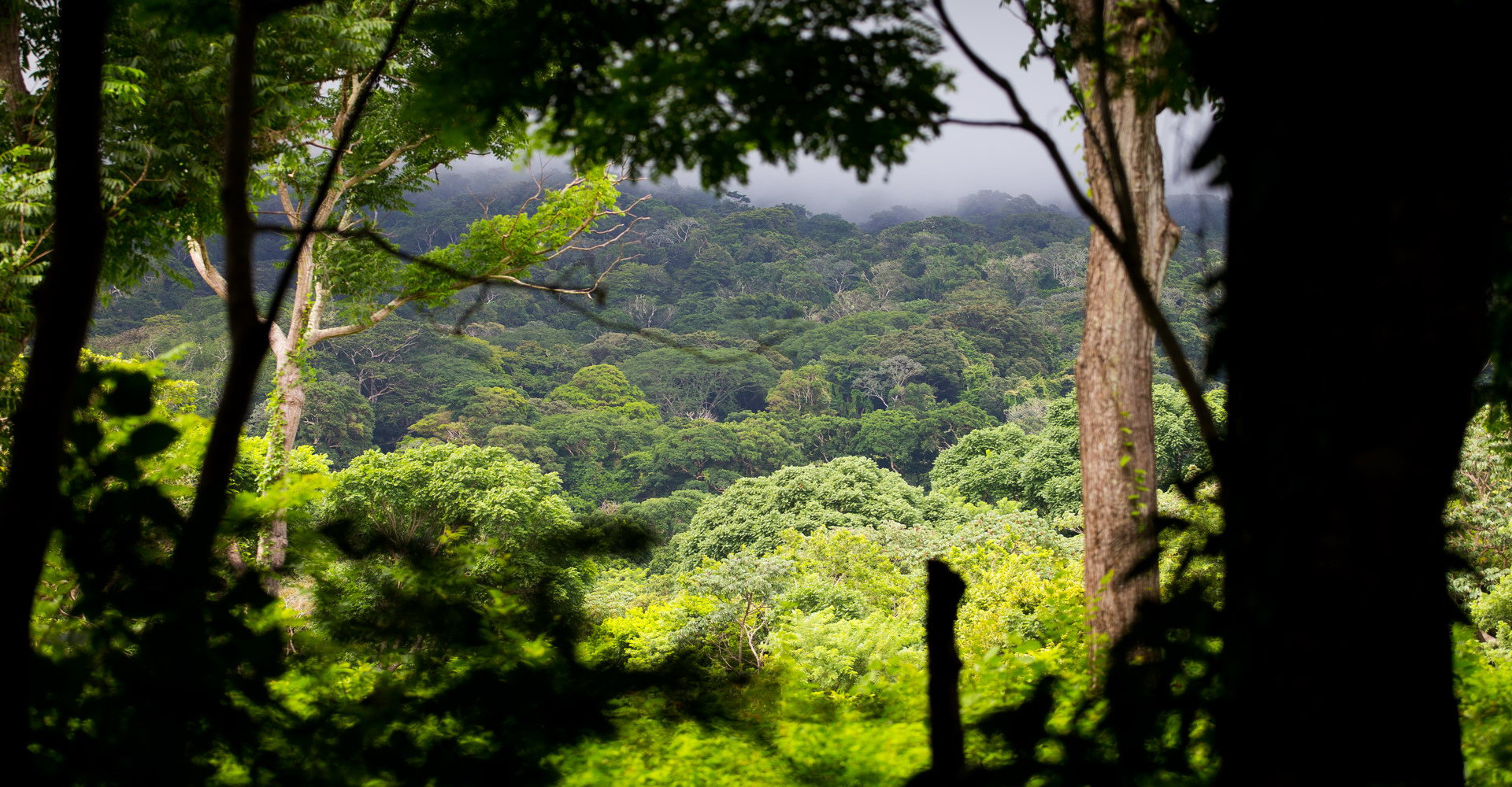 3-finca-magdalena