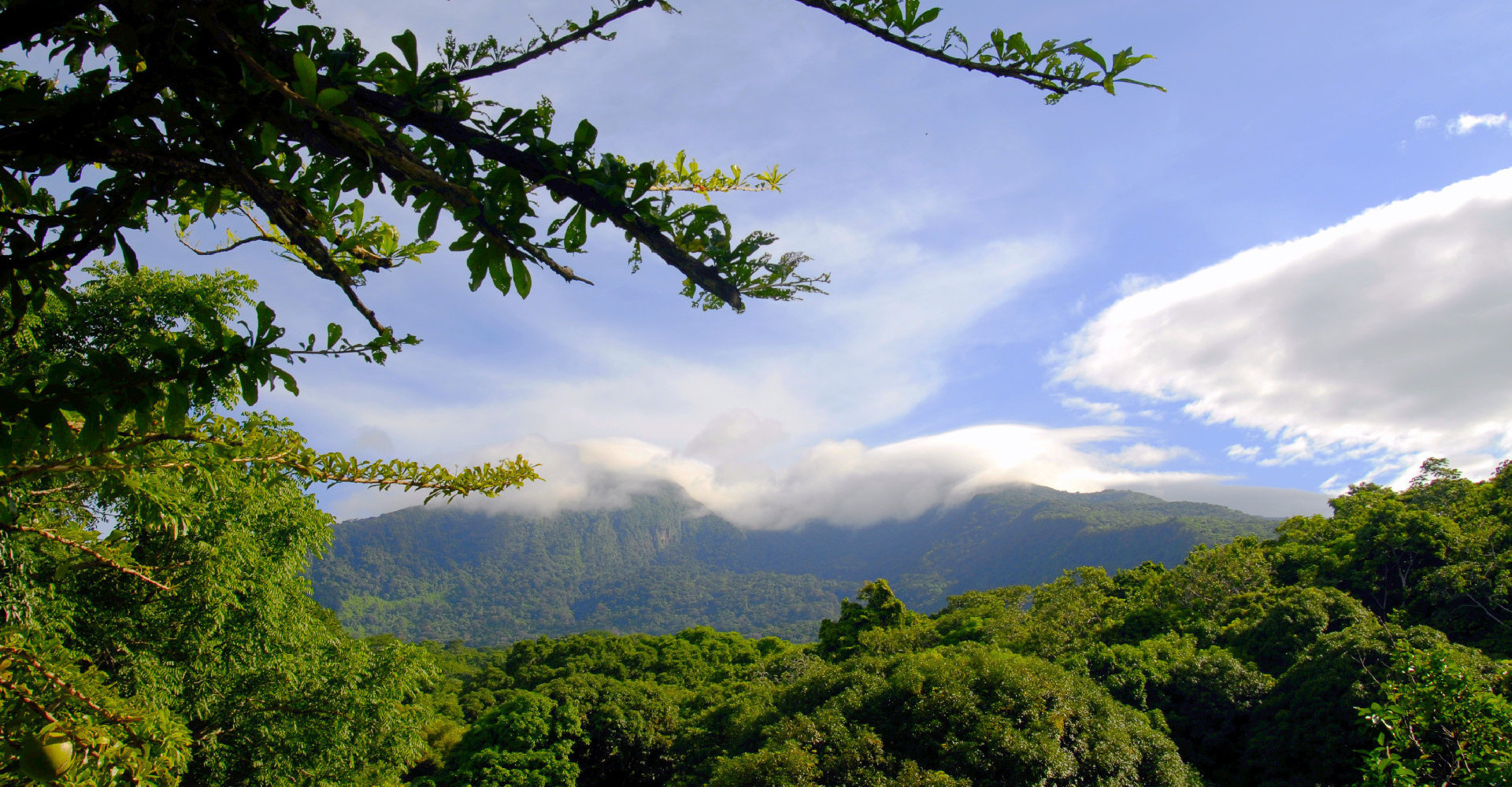 1-cacao-farm-isletasgranada