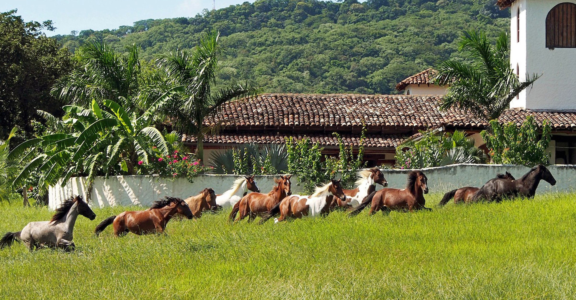 4-horse-riding-guesthouse