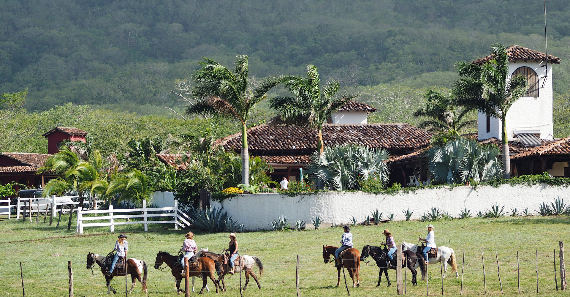 5-horse-riding-horses