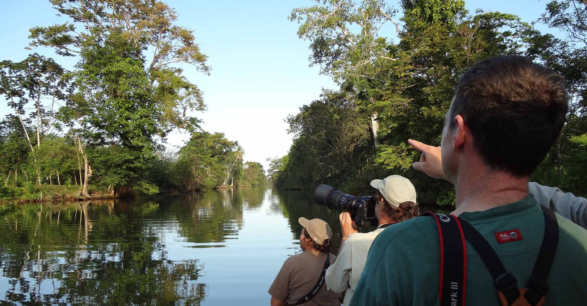 observation-birding