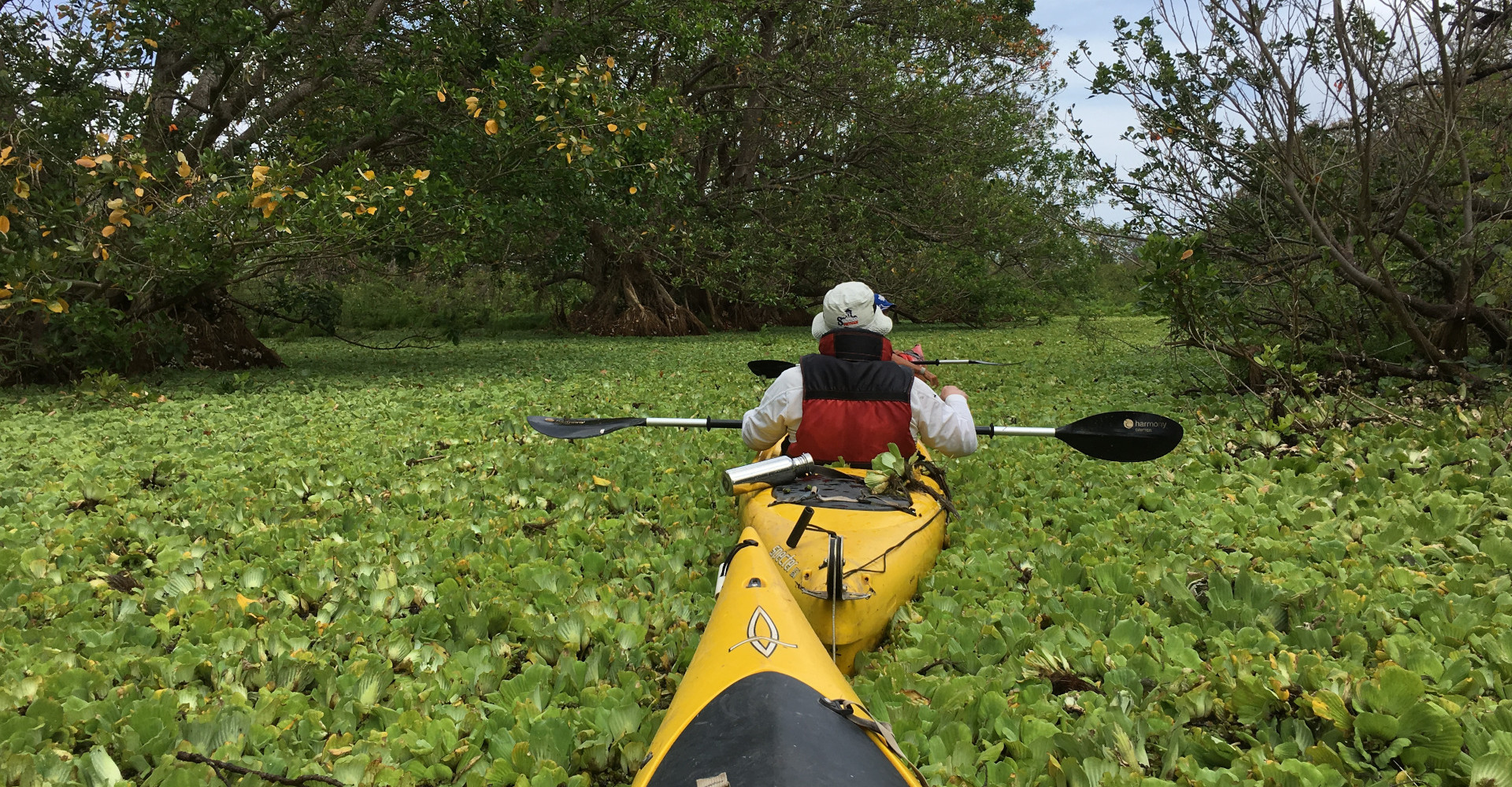 kayak-riosanjuan