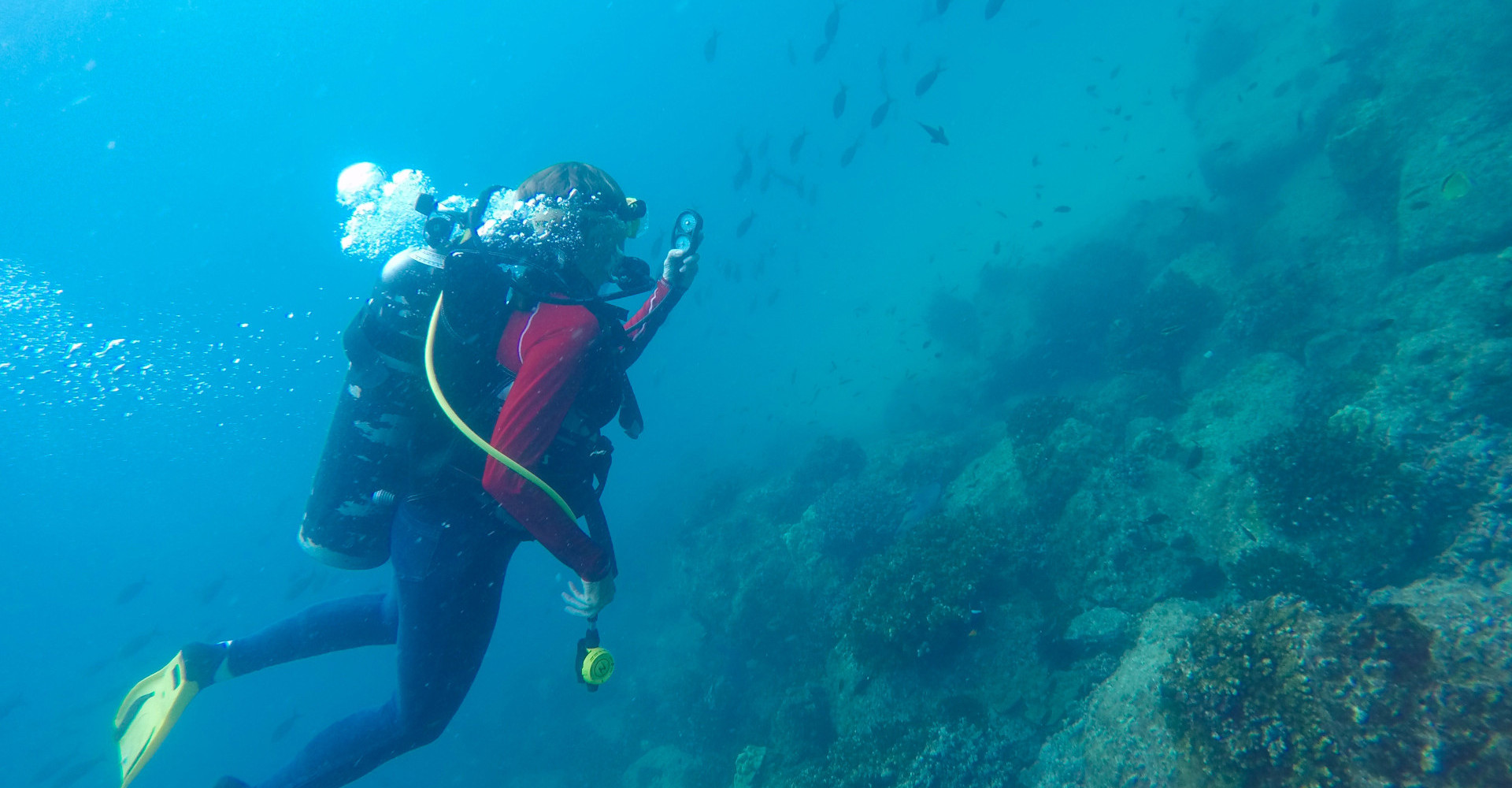 taboga-diving-panama