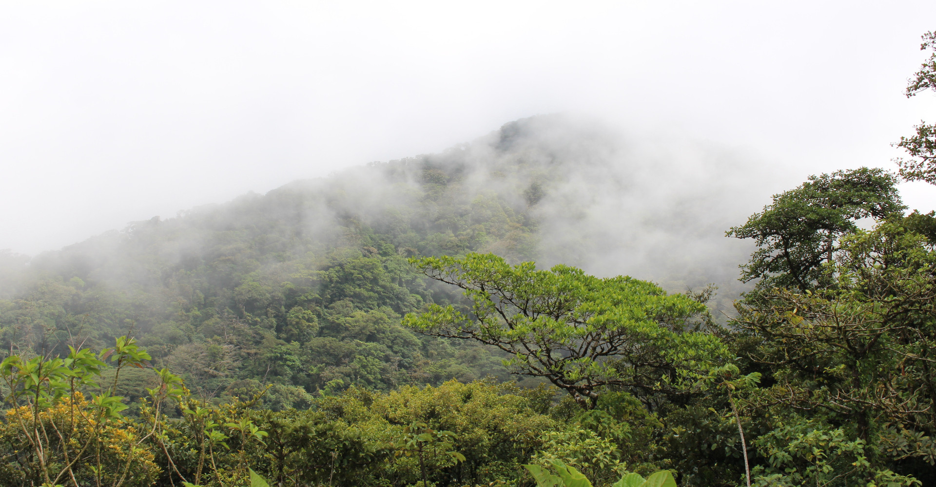 2-boquete-baru-mountant