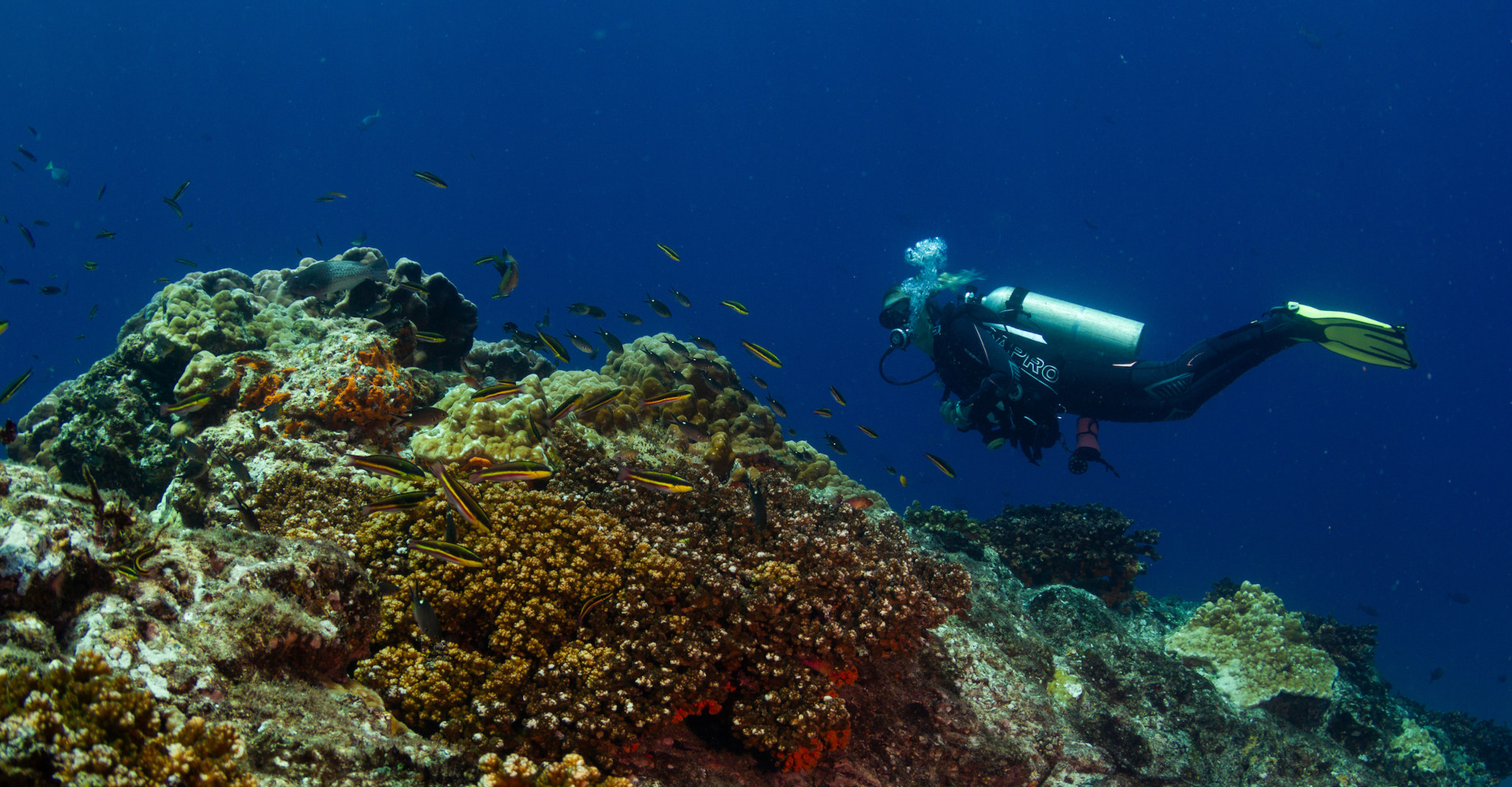 snorkeling-coiba