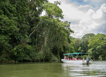 Panama Canal Rainforest Boat experience