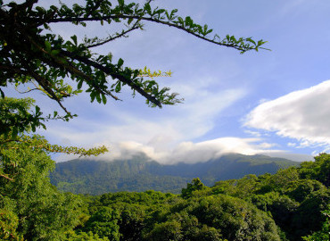 Cacao Farm Experience