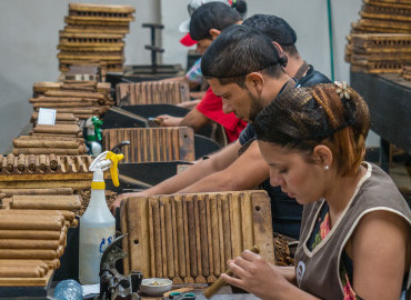 Tobacco Plantation & Cigar Factory