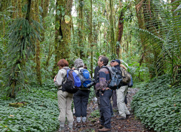 Cloud Forest Hike: The Waterfalls Trail