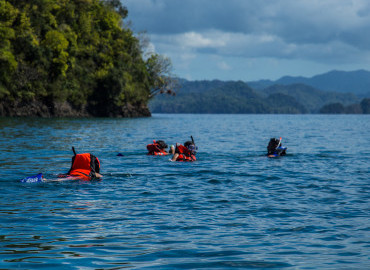 Scuba Diving & Snorkeling - Discover Coiba