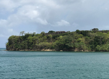 Intimate Perspective of Chagres River