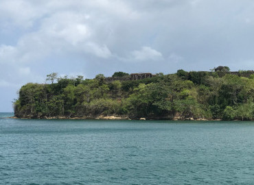 Intimate Perspective of Chagres River